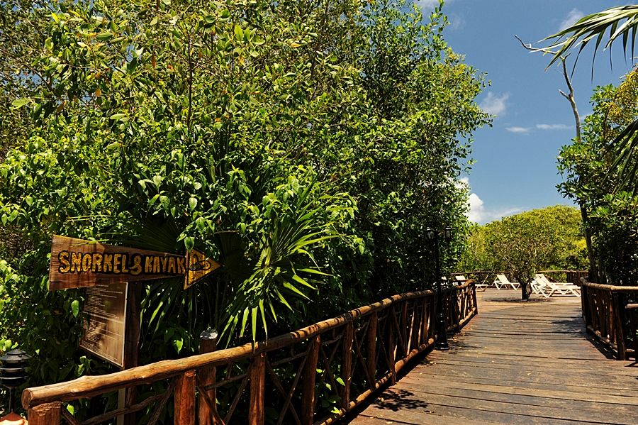 Bel Air Collection Resort & Spa Riviera Maya 西普哈 外观 照片