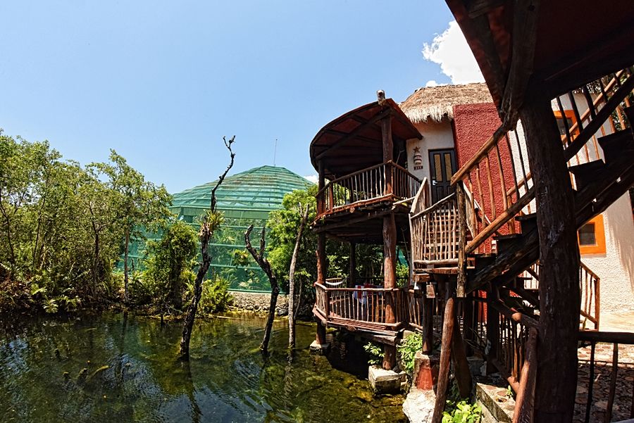 Bel Air Collection Resort & Spa Riviera Maya 西普哈 外观 照片